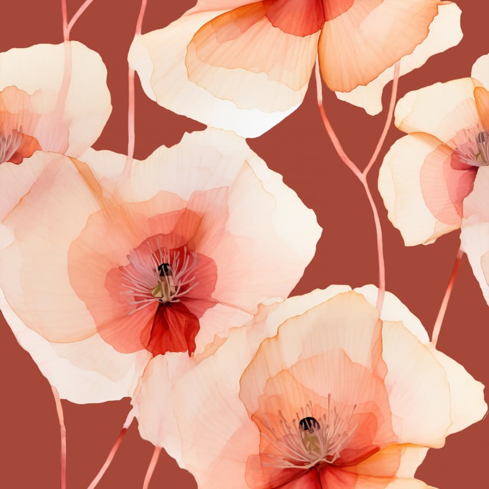 Translucent Poppy Blooms by Bilge Paksoylu — canvas wall art