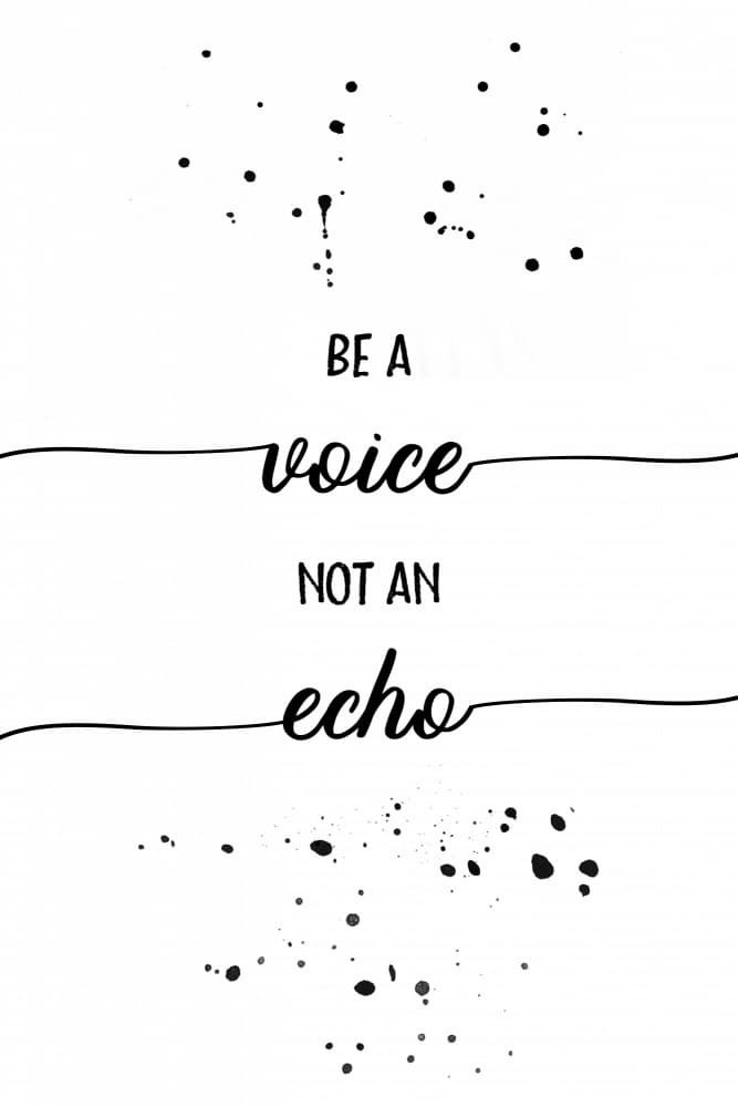 Voice Not An Echo by Melanie Viola — canvas wall art