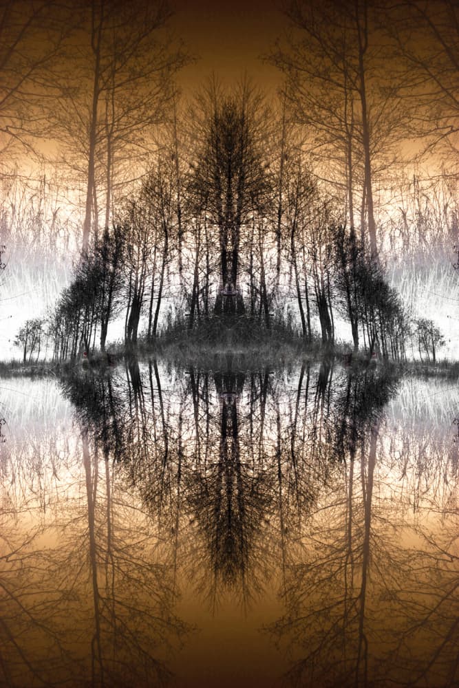 Mirrored Forest Lake by Christina Sillen — canvas wall art