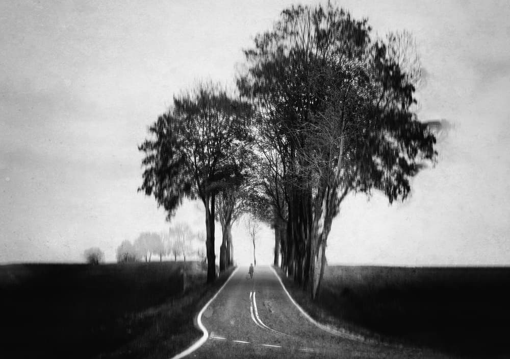 Solitary Road Journey by Adam Dauria ☂ — canvas wall art