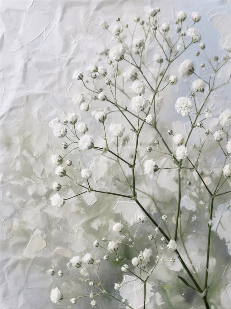 Delicate White Baby's Breath by HUGO — canvas wall art
