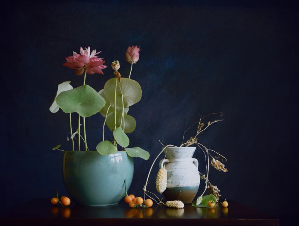Pink Lotus Still Life by Fangping Zhou — canvas wall art