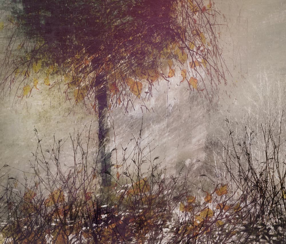 The birch by Nel Talen — canvas wall art
