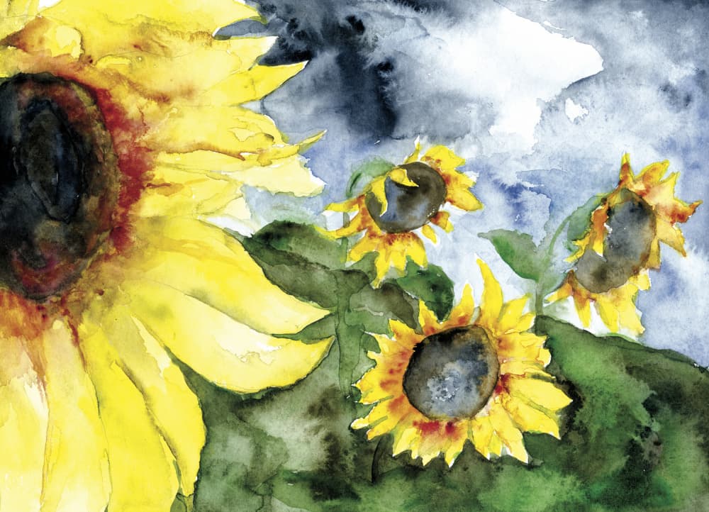 Sunflowers Stormy Sky by RodMacIver — canvas wall art