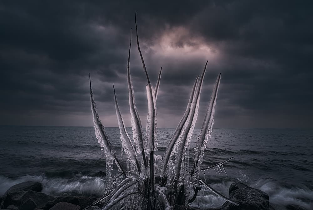 Frozen Branches Dark Waters by Ben.C.L — canvas wall art
