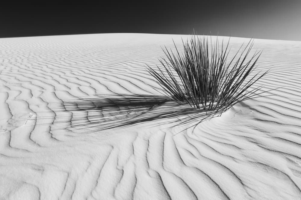 White Dunes Serenity by Melanie Viola — canvas wall art