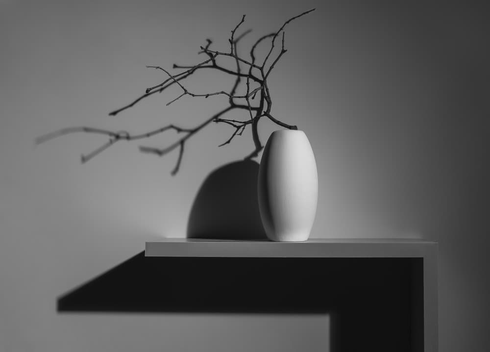 Elegant Still Life Shadow by Evgeniy Popov — canvas wall art
