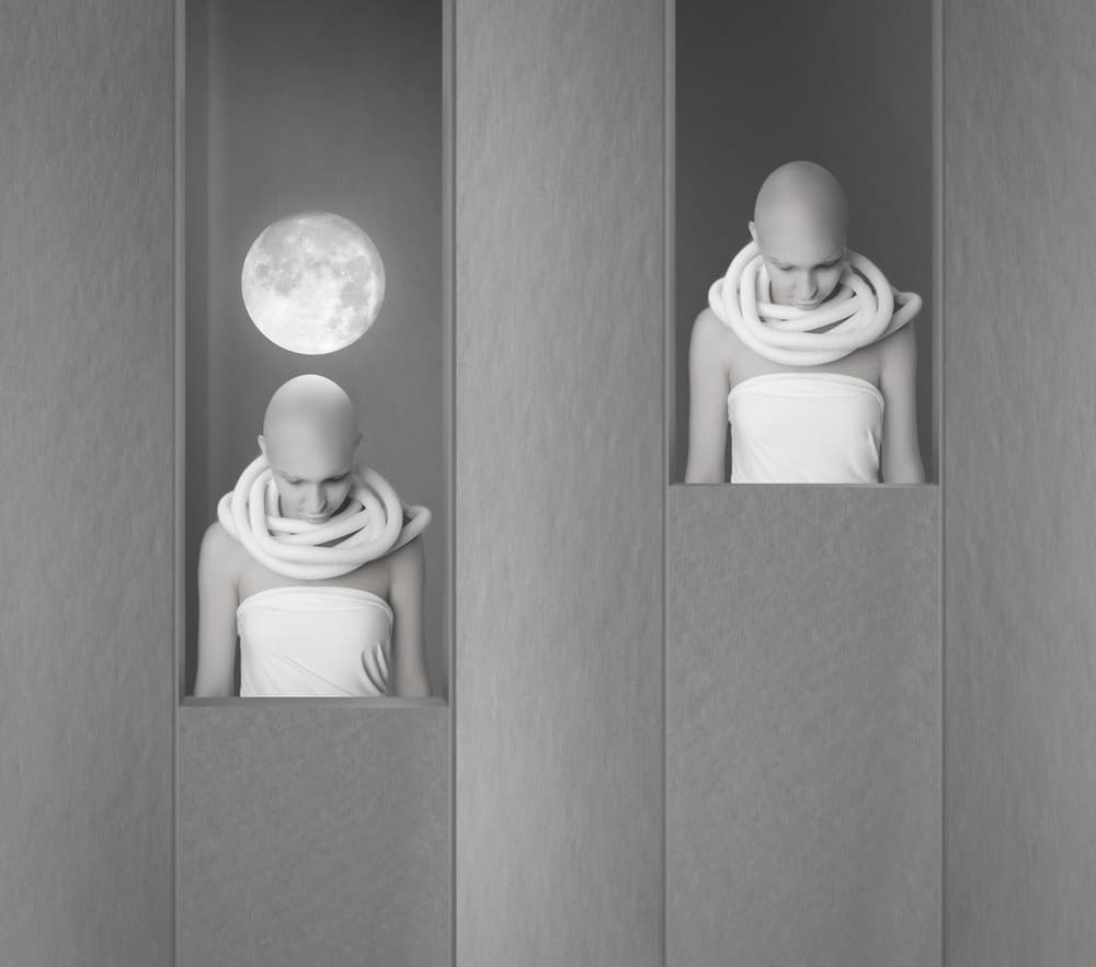 Moonlit Contemplation by hardibudi — canvas wall art