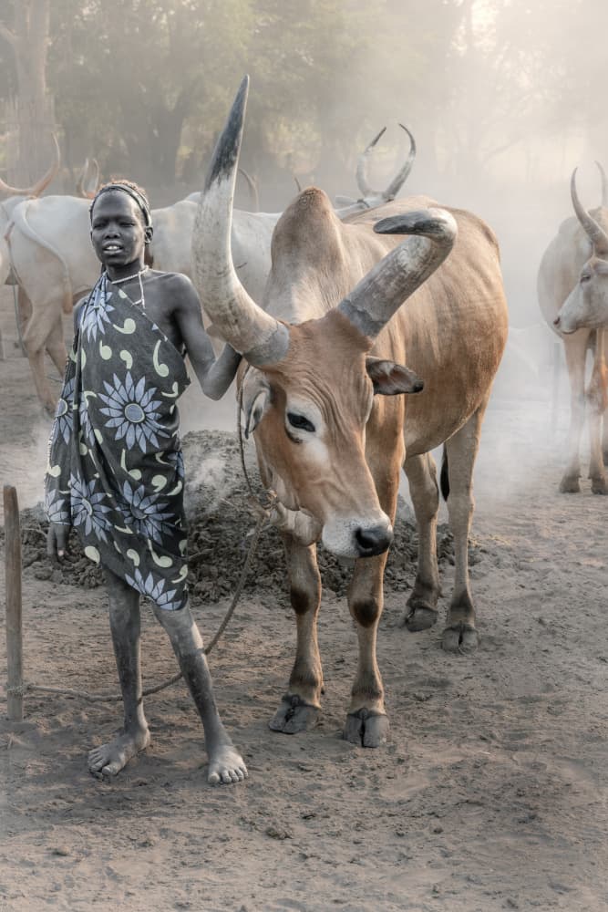 African Boy and His Bull by Trevor Cole — canvas wall art