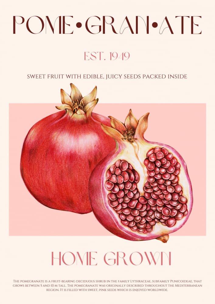 Sweet Juicy Pomegranates by Nazma Khokhar — canvas wall art