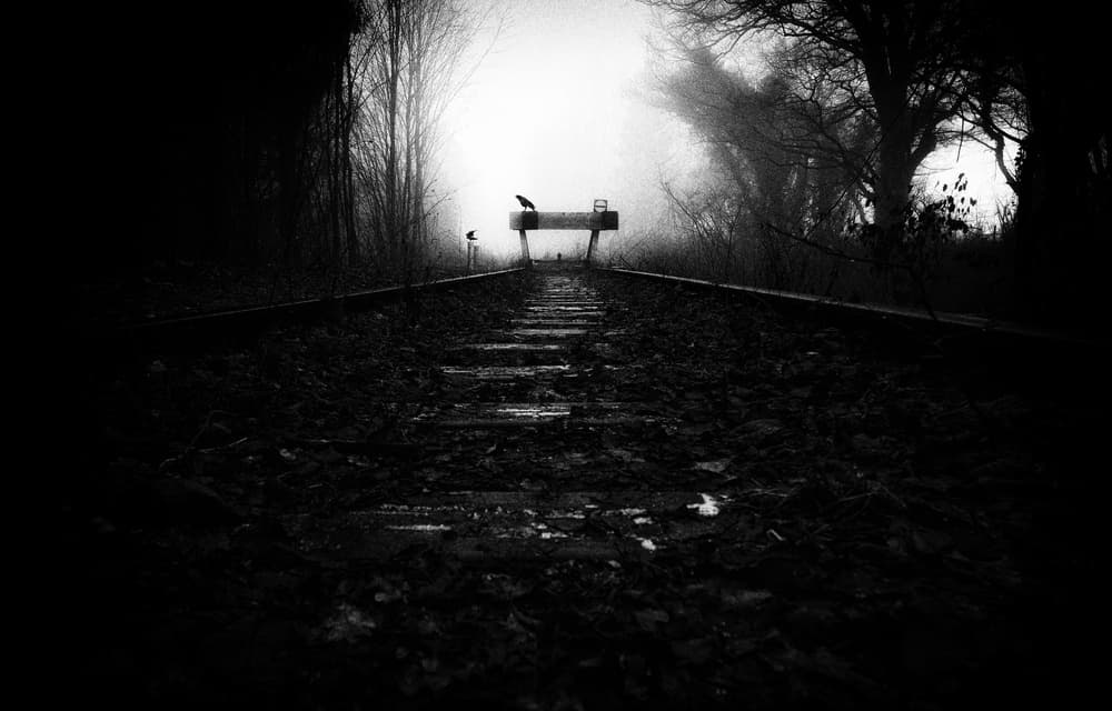 Lonely Winter Tracks by Adam Dauria ☂ — canvas wall art