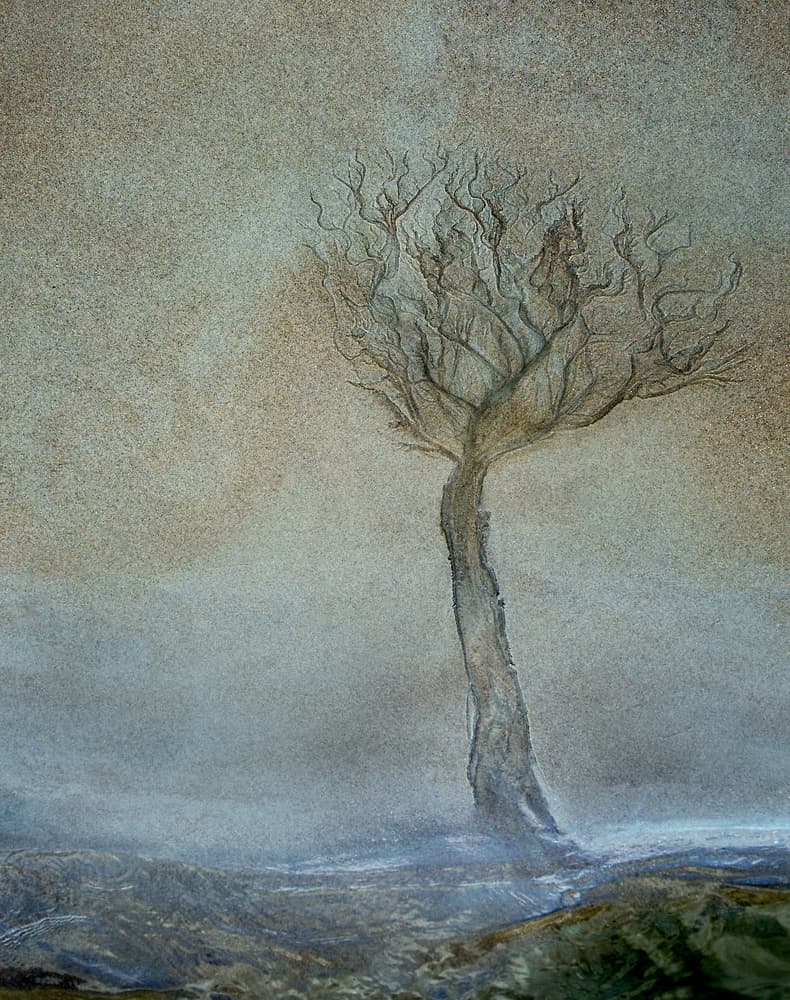 Lonely tree by Nel Talen — canvas wall art