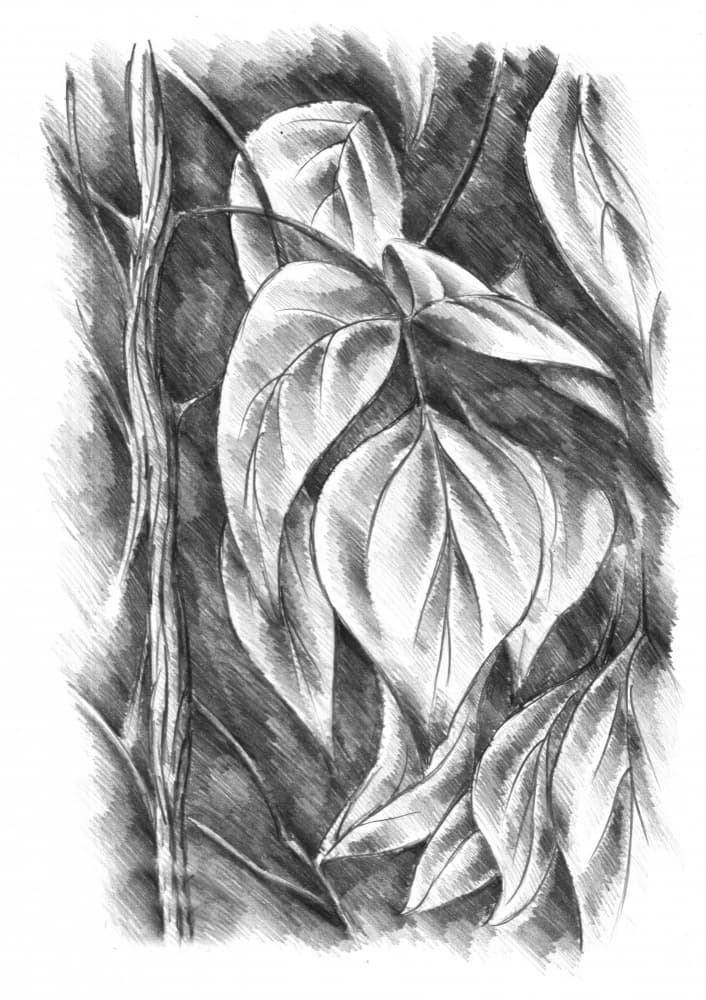 Shaded Botanical Leaves by Kulik — canvas wall art