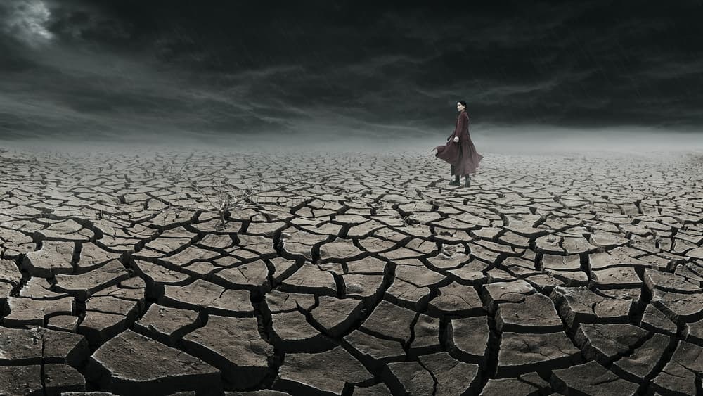 Lone Figure Cracked Earth by Bingo Z — canvas wall art
