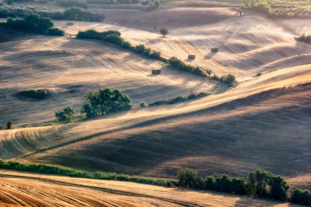 Misty Rolling Fields by Sebastian Prioteasa — canvas wall art
