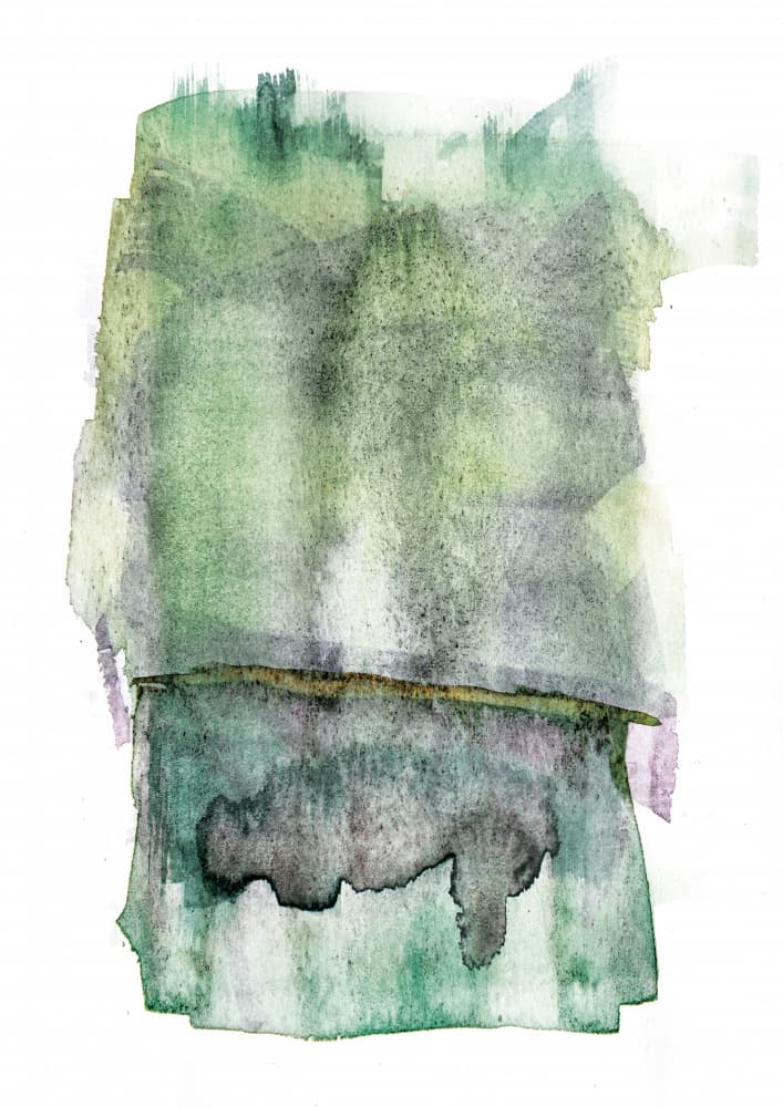 Misty Green Dreams by Shot by Clint — canvas wall art