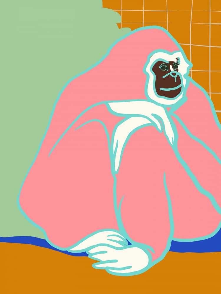 Thoughtful Pink Gorilla by Little Dean — canvas wall art