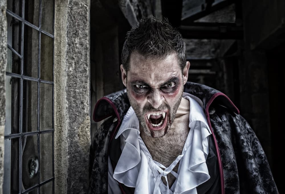 Angry Gothic Vampire by Daniel Springgay — canvas wall art