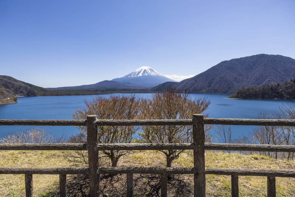 Majestic Fuji Lake Vista by Melanie Viola — canvas wall art