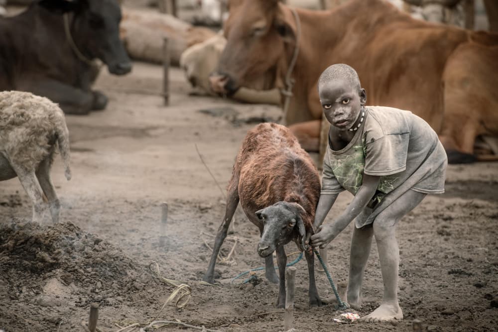 African Child and Goat by Trevor Cole — canvas wall art