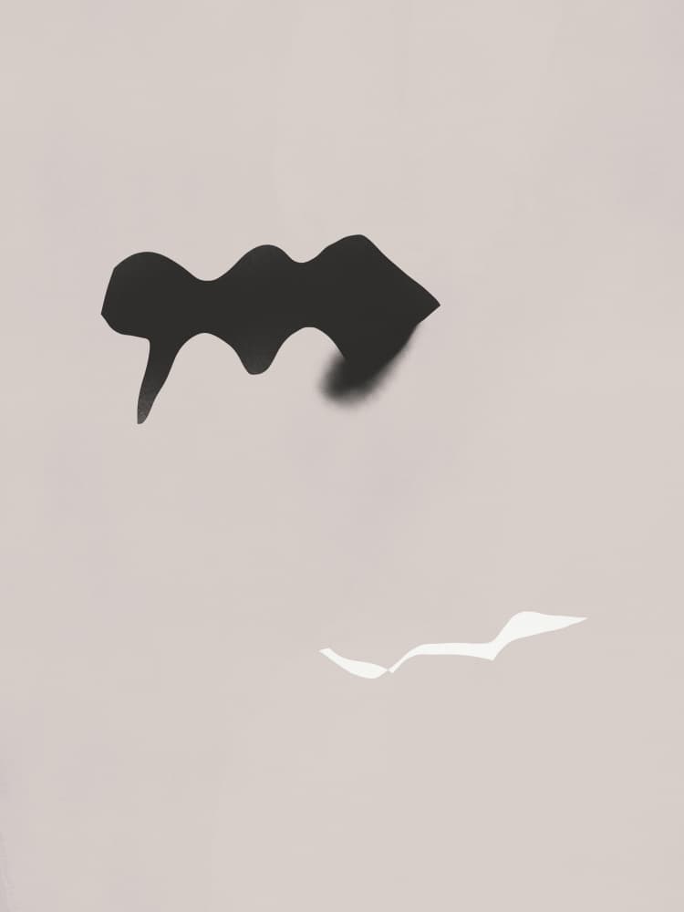 Minimalist Shadow Play by Little Dean — canvas wall art