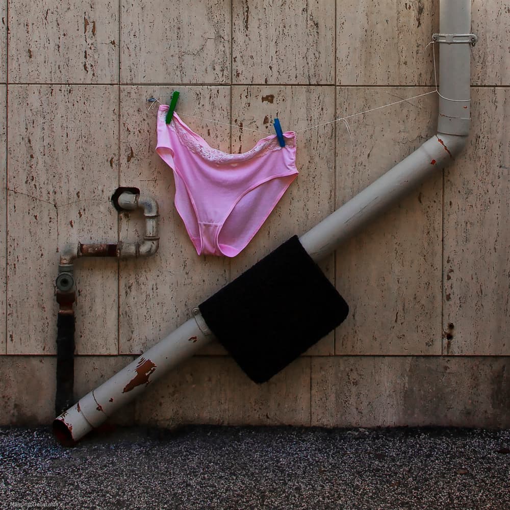The pink panther by Massimo Della Latta — canvas wall art
