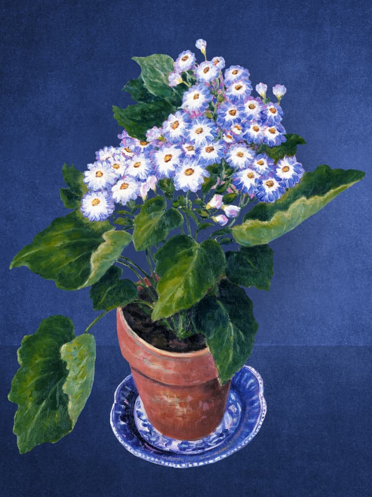 Potted Blue Flowers by Marja van den Hurk — canvas wall art
