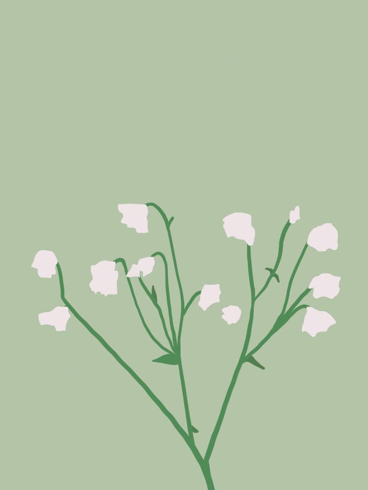Minimal White Blossoms by Little Dean — canvas wall art