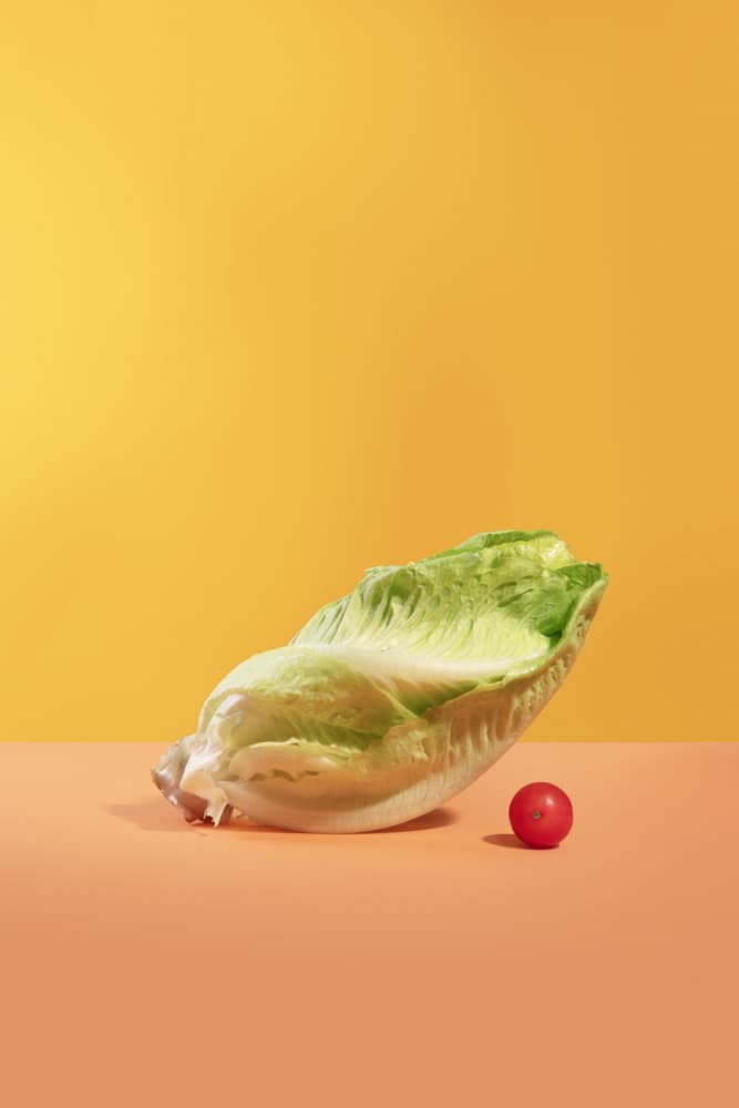 Fresh Romaine and Tomato by Julia Ramiro — canvas wall art