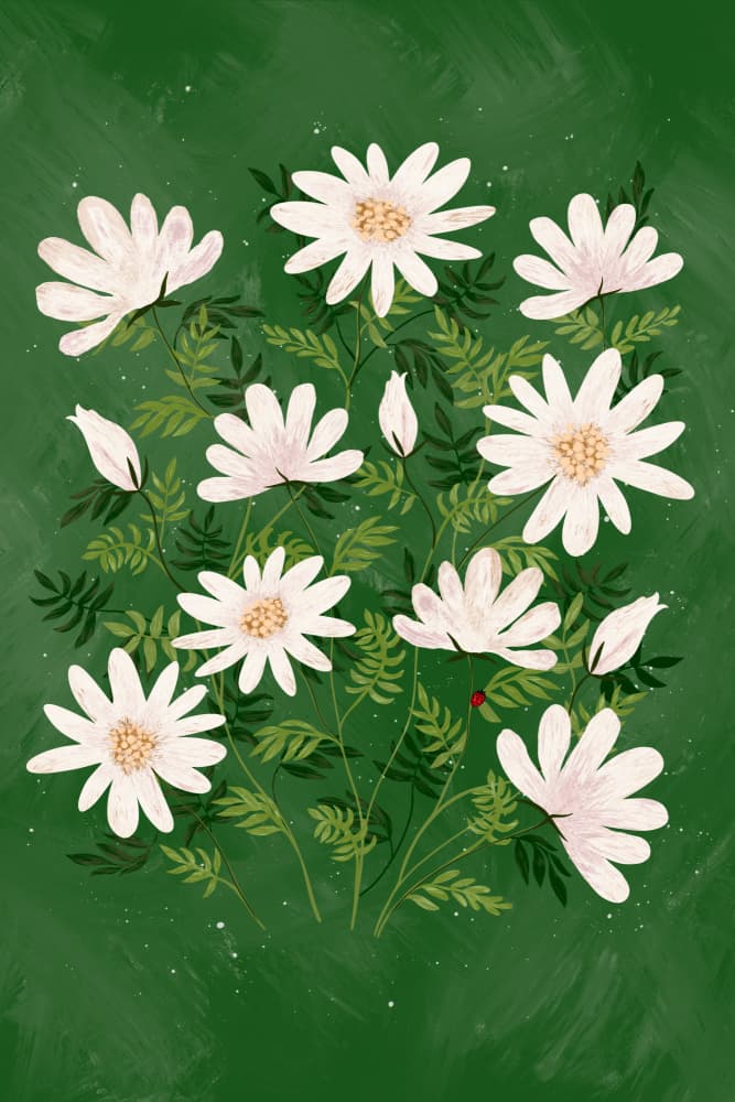 White Daisies Green Garden by EMELIEmaria — canvas wall art
