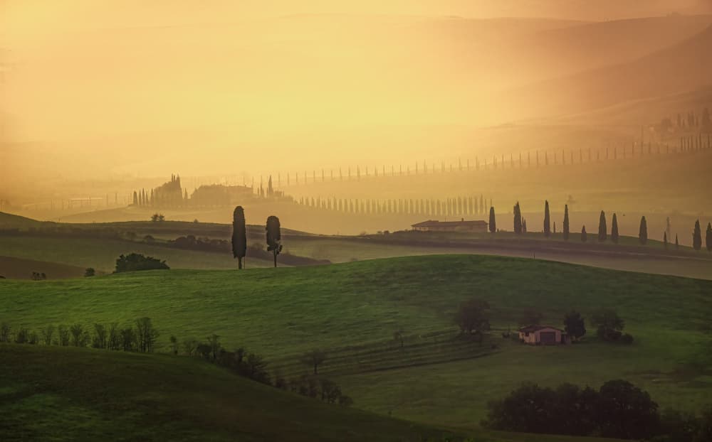 Golden Tuscan Morning by Jianping Yang — canvas wall art