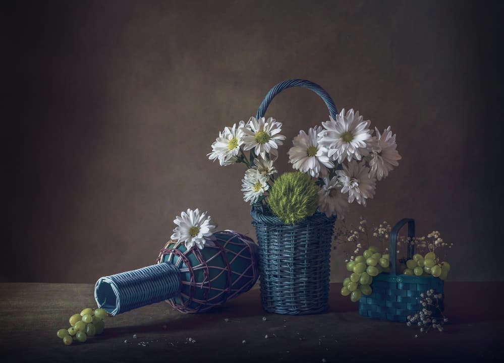 White Flowers and Grapes by May G — canvas wall art