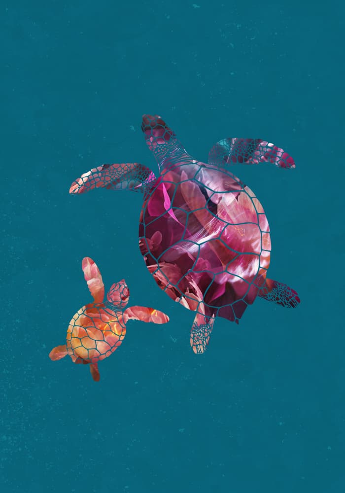 Vibrant Ocean Turtles by Sarah Manovski — canvas wall art