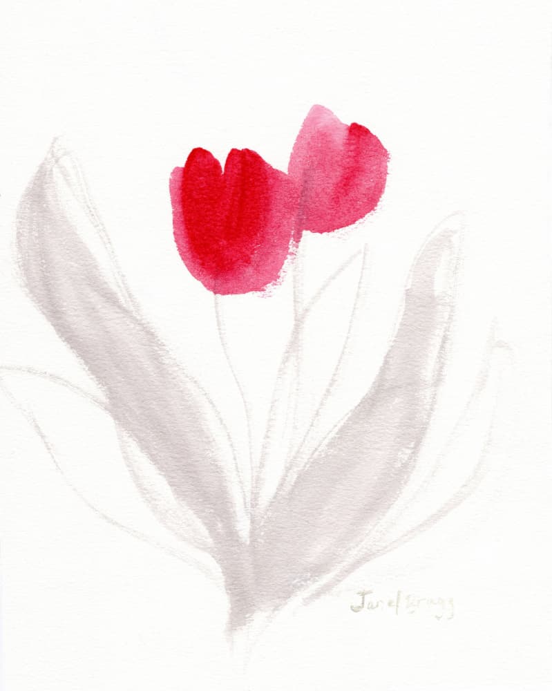 Soft Watercolor Tulips by Janel Bragg — canvas wall art