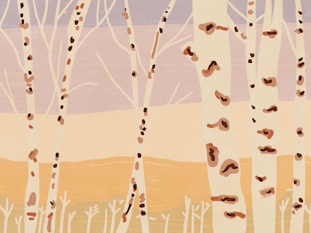 Pastel Aspen Forest by Little Dean — canvas wall art