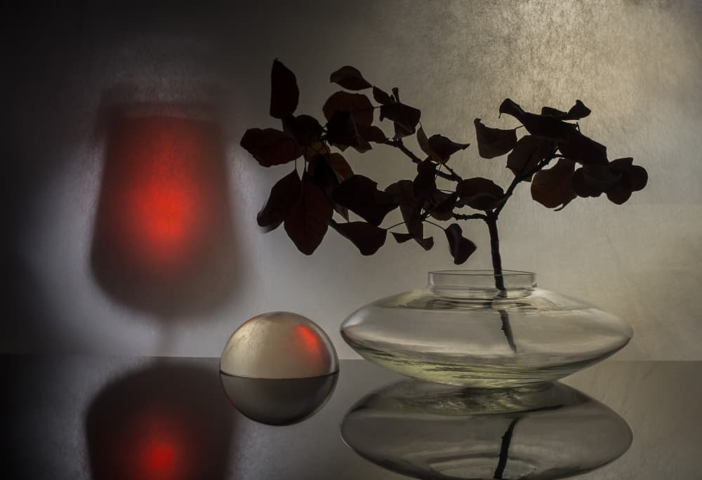 Red Glow Still Life by Evgeniy Popov — canvas wall art