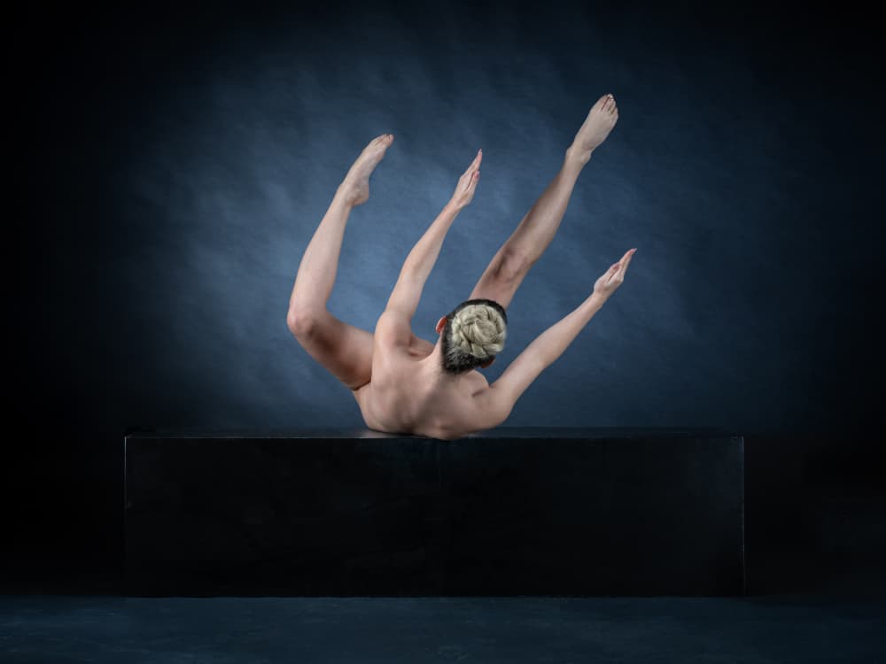 Surreal Contorted Form by Luc Stalmans — canvas wall art