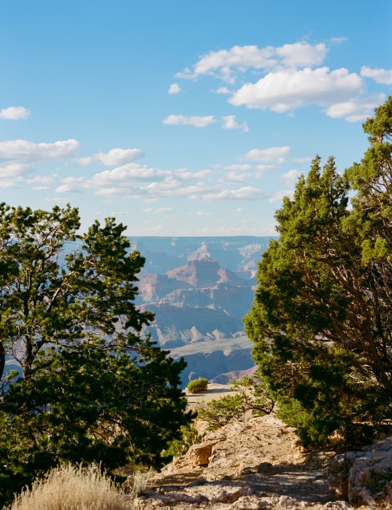 Grand Canyon Shadows X on Film by Bethany Young — canvas wall art