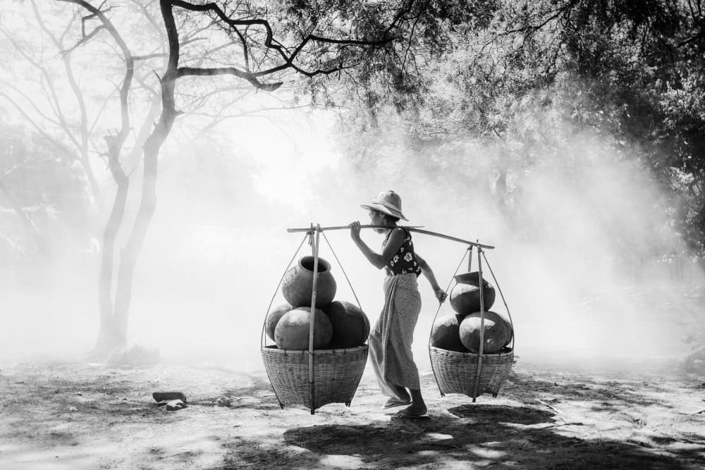 Misty Pot Carrier by ADIREK M — canvas wall art