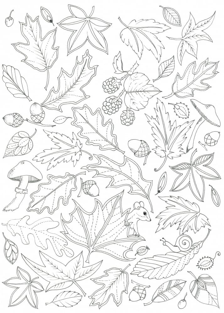 Floating Leaves by Isabelle Brent — canvas wall art