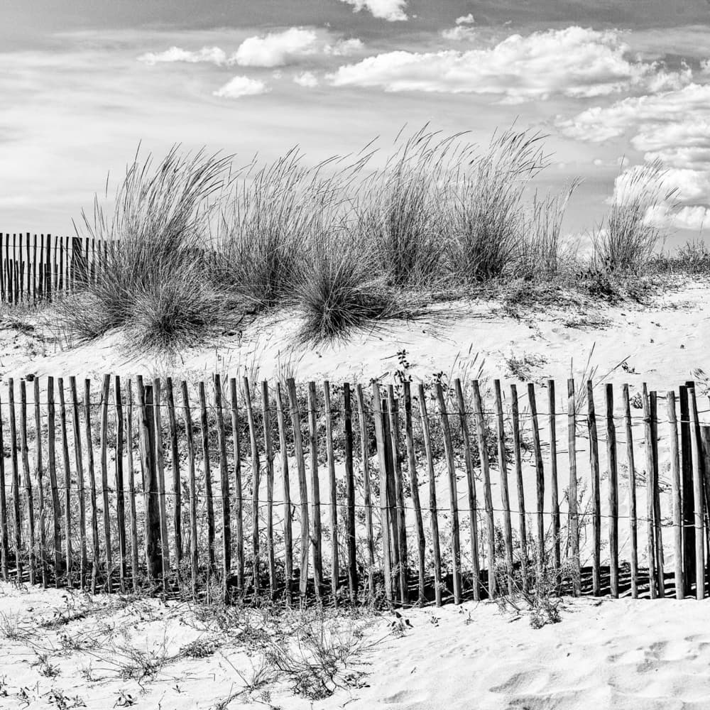 Coastal Dune Fence by Massimo Della Latta — canvas wall art