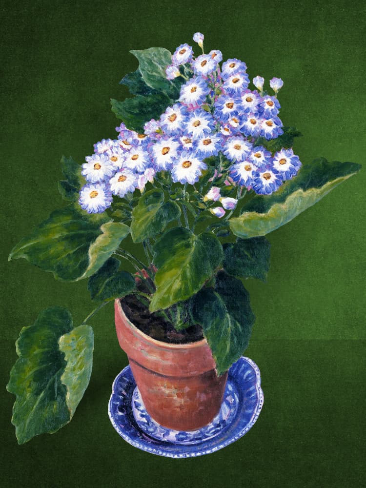 Vibrant Potted Flowers by Marja van den Hurk — canvas wall art