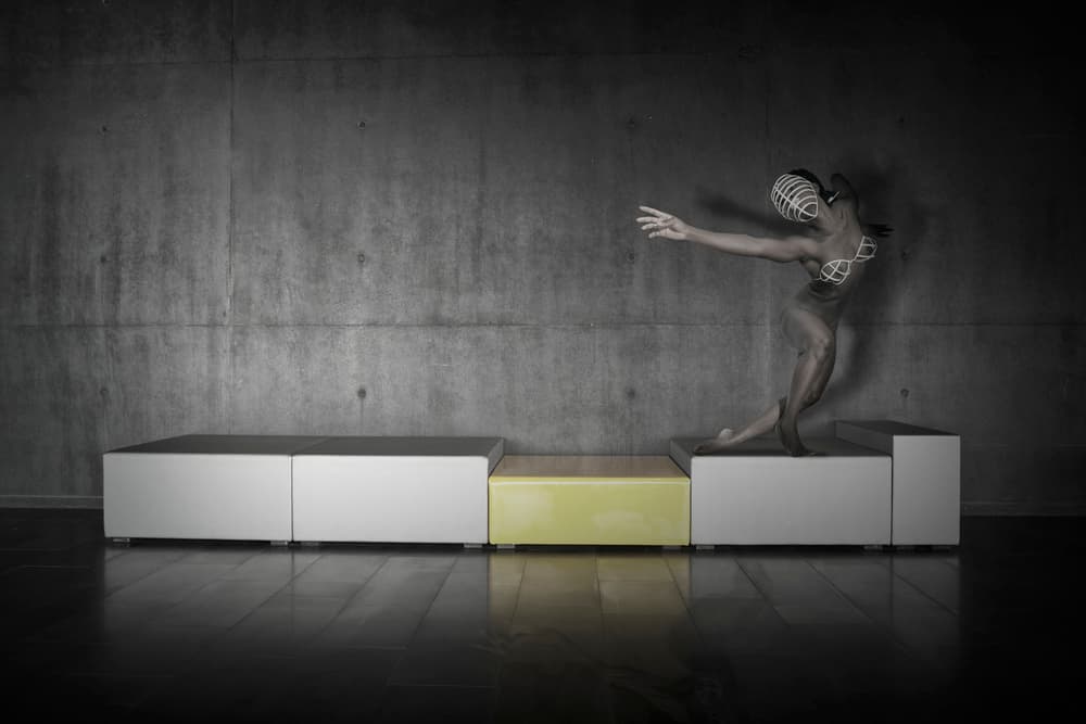 Conceptual Dance Form by Christine von Diepenbroek — canvas wall art