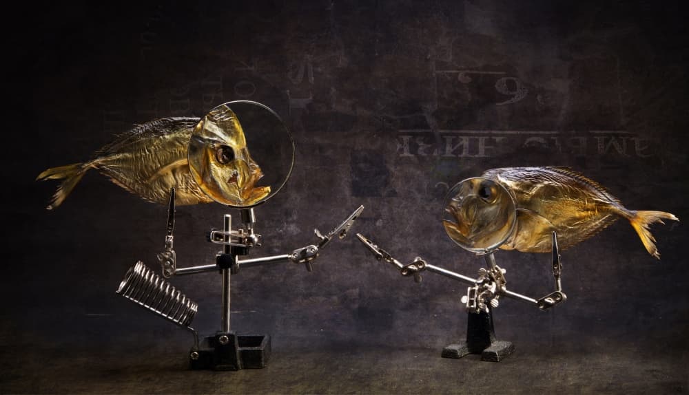 Curious Fish Conversation by Brig Barkow — canvas wall art