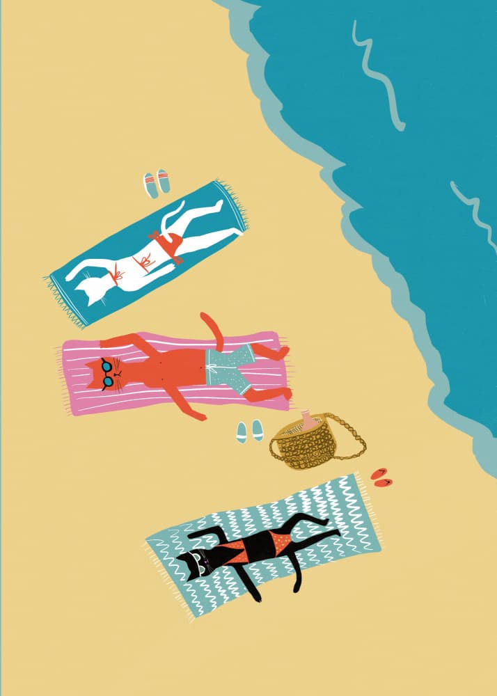 Beach Cats Sunbathing by Sharyn Bursic — canvas wall art