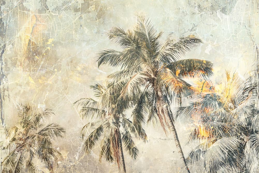 Vintage Palm Trees by Rafal Kulik — canvas wall art