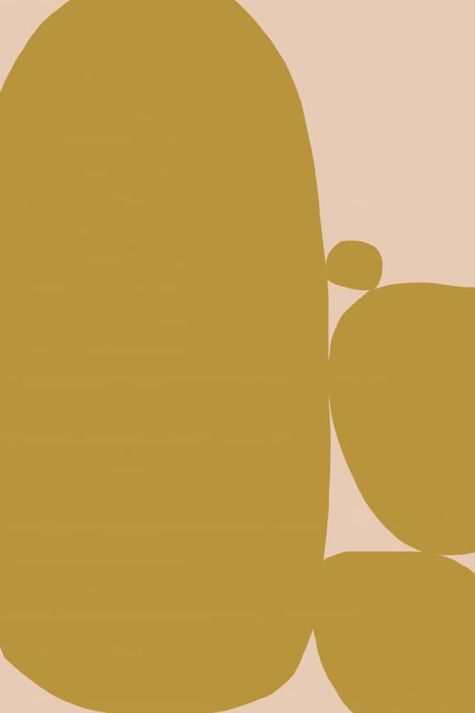 Blush Ochre Shapes by Treechild — canvas wall art