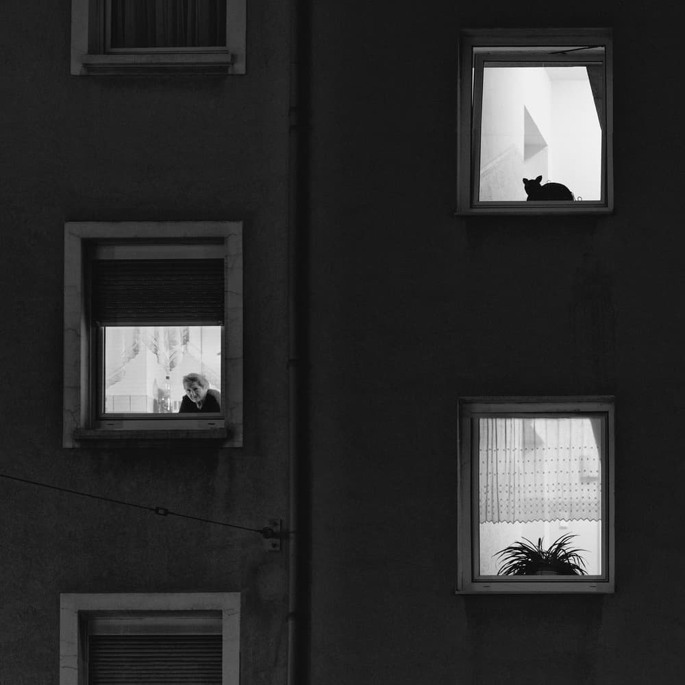 Urban Night Windows by Alexander Jikharev — canvas wall art