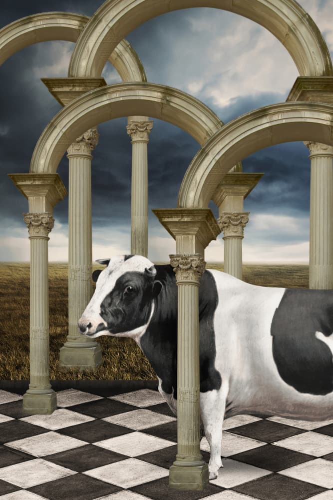 Surreal Cow Landscape by Marja van den Hurk — canvas wall art