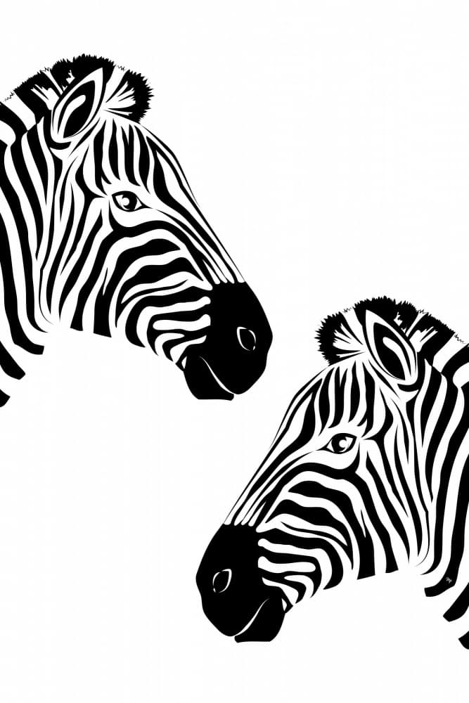Monochrome Zebra Duo by Martina — canvas wall art